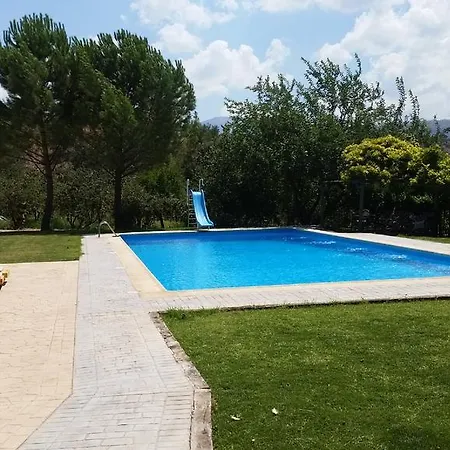 El Molino De Palomas *