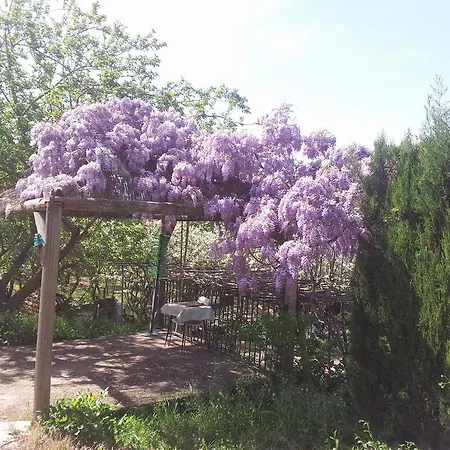 El Molino De Palomas *